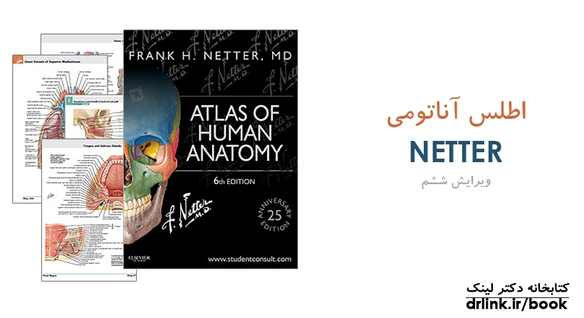   دکتر لینک | دانلود کتاب اطلس آناتومی نتر - ویرایش ششم 